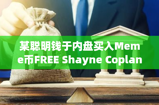 某聪明钱于内盘买入Meme币FREE Shayne Coplan，三小时回报率101倍