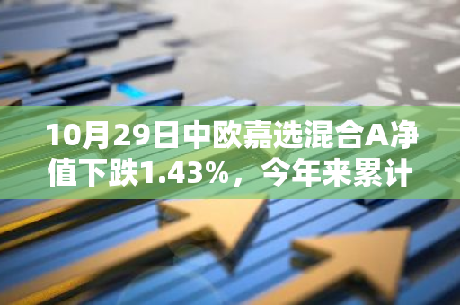 10月29日中欧嘉选混合A净值下跌1.43%，今年来累计下跌4.92%