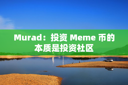 Murad：投资 Meme 币的本质是投资社区
