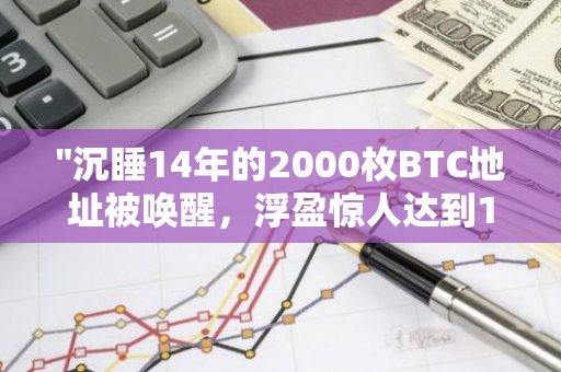 "沉睡14年的2000枚BTC地址被唤醒，浮盈惊人达到1.762亿美元"
