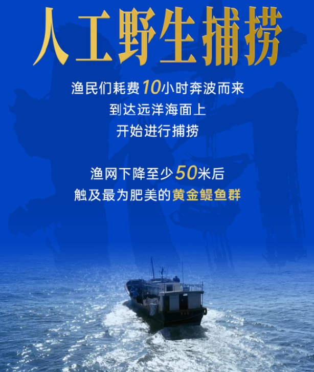 劲仔食品陷入“虚假宣传”风波 明星产品“深海小鱼”被指并非来自深海