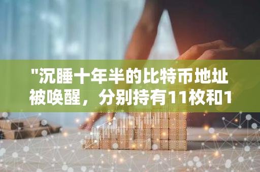 "沉睡十年半的比特币地址被唤醒，分别持有11枚和19枚BTC，引发市场关注"