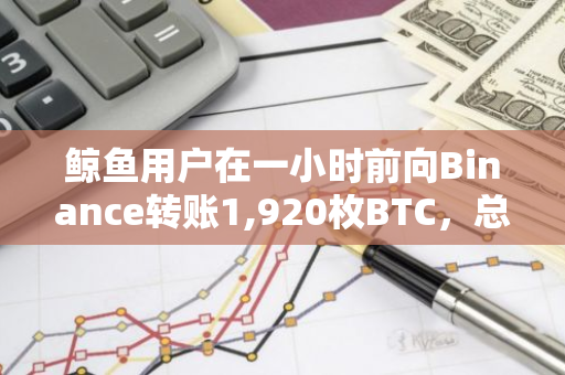 鲸鱼用户在一小时前向Binance转账1,920枚BTC，总价值约为1.69亿美元