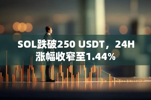 SOL跌破250 USDT，24H涨幅收窄至1.44%