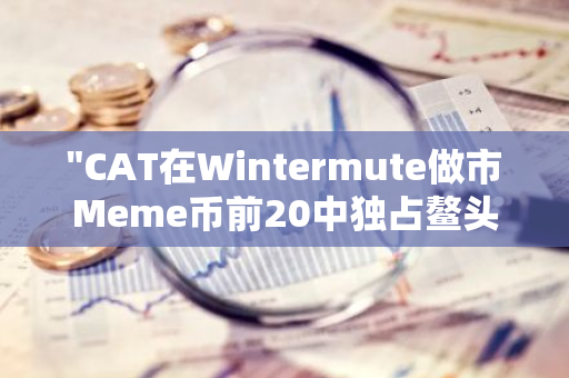 "CAT在Wintermute做市Meme币前20中独占鳌头，成为唯一BSC链代币的佼佼者"