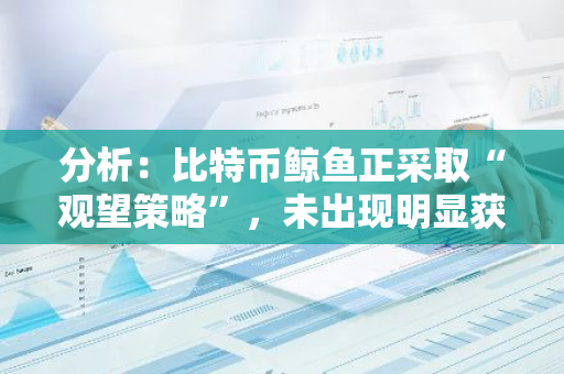 分析：比特币鲸鱼正采取“观望策略”，未出现明显获利回吐活动
