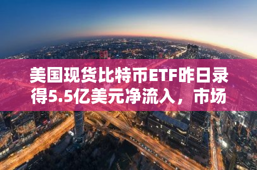 美国现货比特币ETF昨日录得5.5亿美元净流入，市场热度持续攀升