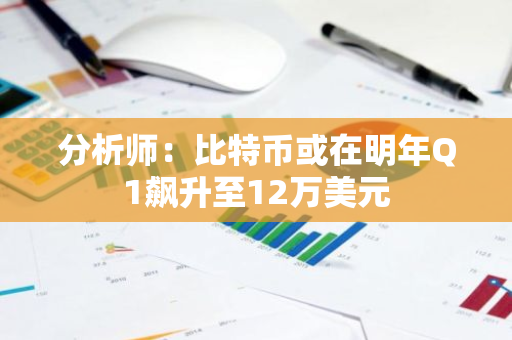 分析师：比特币或在明年Q1飙升至12万美元
