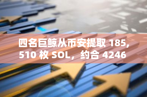四名巨鲸从币安提取 185,510 枚 SOL，约合 4246 万美元