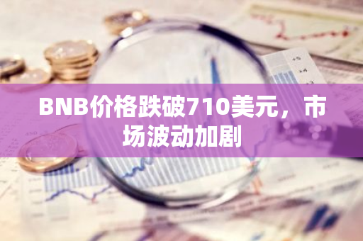 BNB价格跌破710美元，市场波动加剧
