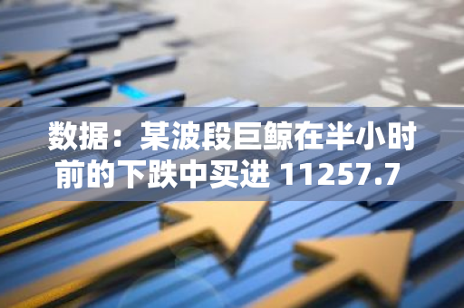 数据：某波段巨鲸在半小时前的下跌中买进 11257.7 枚 ETH，约合 4007 万美元