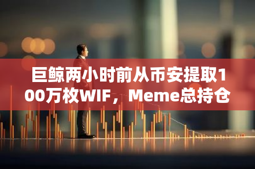 巨鲸两小时前从币安提取100万枚WIF，Meme总持仓价值超2亿美元