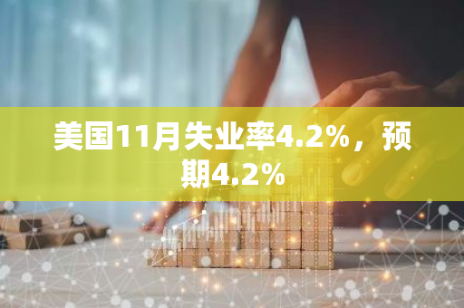美国11月失业率4.2%，预期4.2%