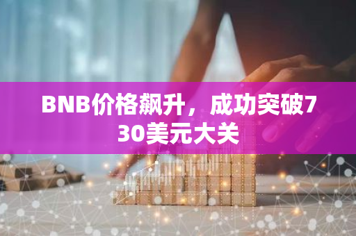 BNB价格飙升，成功突破730美元大关