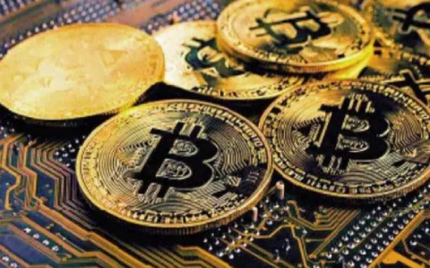 奇亚币2023年最新官方消息 奇亚币最新官方消息分享