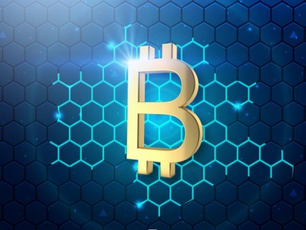 NFT热钱包 NFT热钱包官方APPv4.2.9