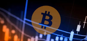 usdp币是什么?usdp币是什么币种?