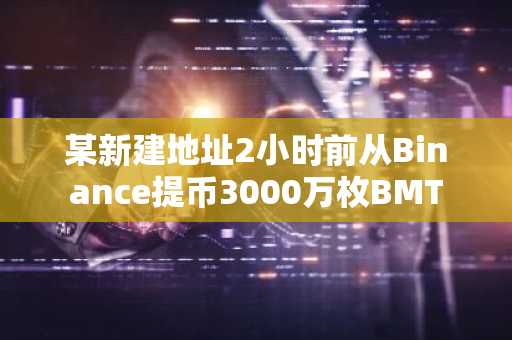 某新建地址2小时前从Binance提币3000万枚BMT