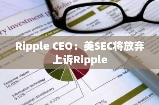 Ripple CEO：美SEC将放弃上诉Ripple