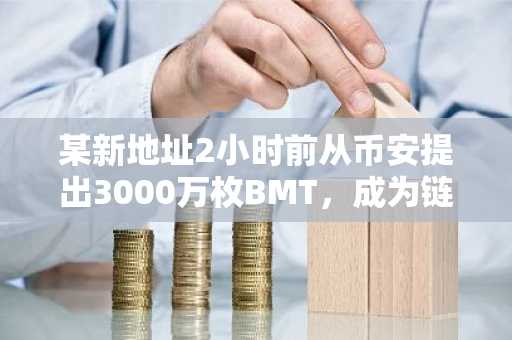 某新地址2小时前从币安提出3000万枚BMT，成为链上持仓排名第一