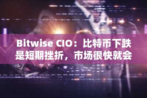 Bitwise CIO：比特币下跌是短期挫折，市场很快就会找到自己的立足点