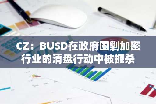 CZ：BUSD在政府围剿加密行业的清盘行动中被扼杀