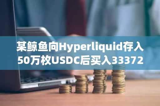 某鲸鱼向Hyperliquid存入50万枚USDC后买入33372枚HYPE