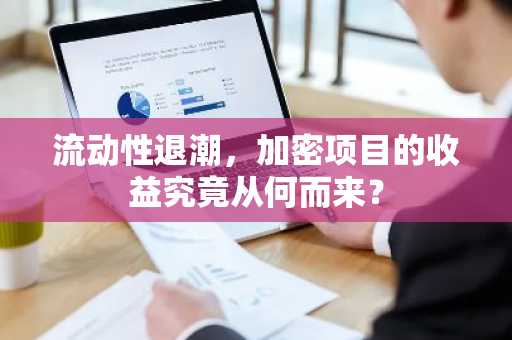 流动性退潮，加密项目的收益究竟从何而来？