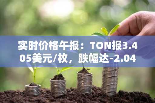 实时价格午报：TON报3.405美元/枚，跌幅达-2.04%