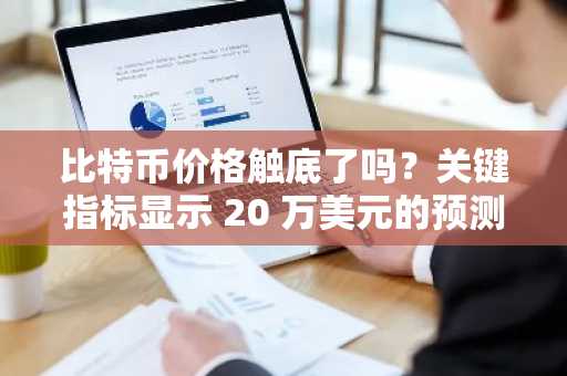 比特币价格触底了吗？关键指标显示 20 万美元的预测是可能的