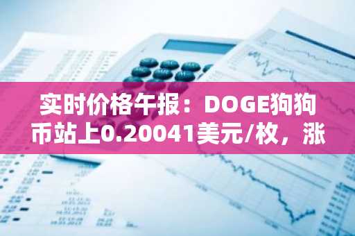 实时价格午报：DOGE狗狗币站上0.20041美元/枚，涨幅达3.09%