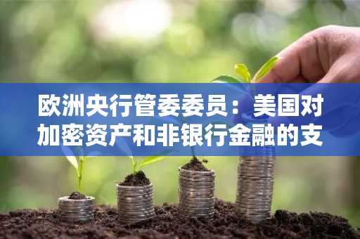 欧洲央行管委委员：美国对加密资产和非银行金融的支持，为未来动荡埋下祸根