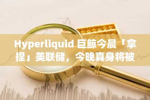 Hyperliquid 巨鲸今晨「拿捏」美联储，今晚真身将被曝