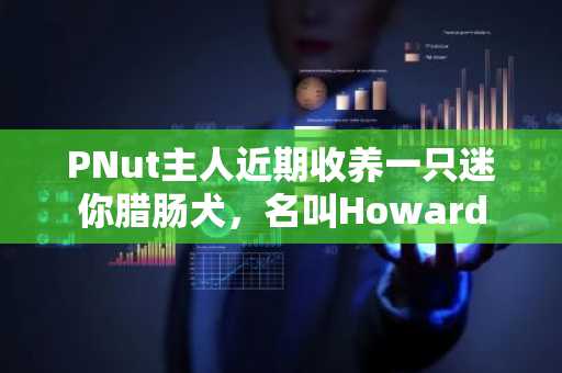 PNut主人近期收养一只迷你腊肠犬，名叫Howard