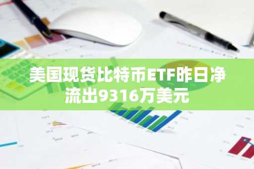 美国现货比特币ETF昨日净流出9316万美元