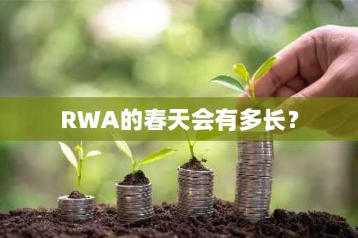 RWA的春天会有多长？