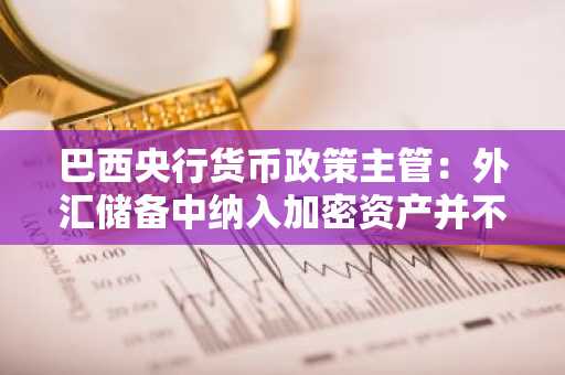 巴西央行货币政策主管：外汇储备中纳入加密资产并不合适