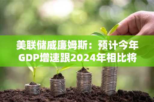 美联储威廉姆斯：预计今年GDP增速跟2024年相比将放缓