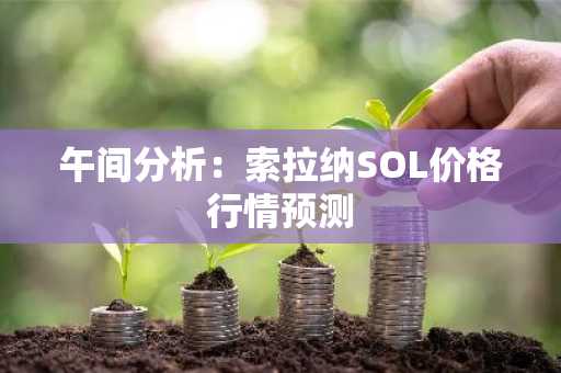 午间分析：索拉纳SOL价格行情预测