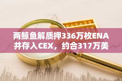 两鲸鱼解质押336万枚ENA并存入CEX，约合317万美元