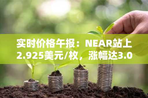 实时价格午报：NEAR站上2.925美元/枚，涨幅达3.07%