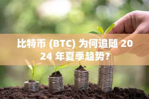 比特币 (BTC) 为何追随 2024 年夏季趋势？