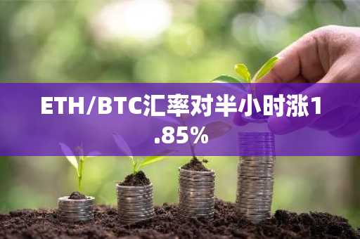 ETH/BTC汇率对半小时涨1.85%