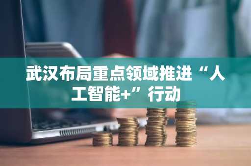 武汉布局重点领域推进“人工智能 ”行动