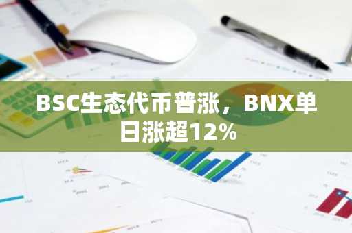 BSC生态代币普涨，BNX单日涨超12%