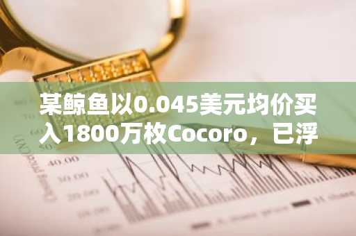 某鲸鱼以0.045美元均价买入1800万枚Cocoro，已浮盈77万美元
