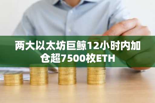 两大以太坊巨鲸12小时内加仓超7500枚ETH