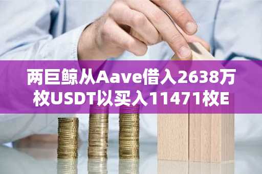 两巨鲸从Aave借入2638万枚USDT以买入11471枚ETH