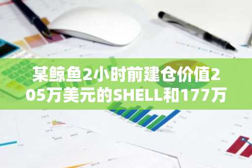 某鲸鱼2小时前建仓价值205万美元的SHELL和177万美元的BNB