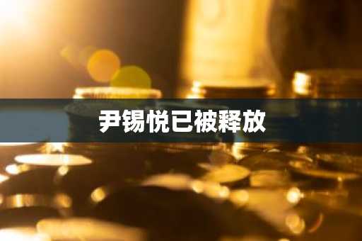 尹锡悦已被释放